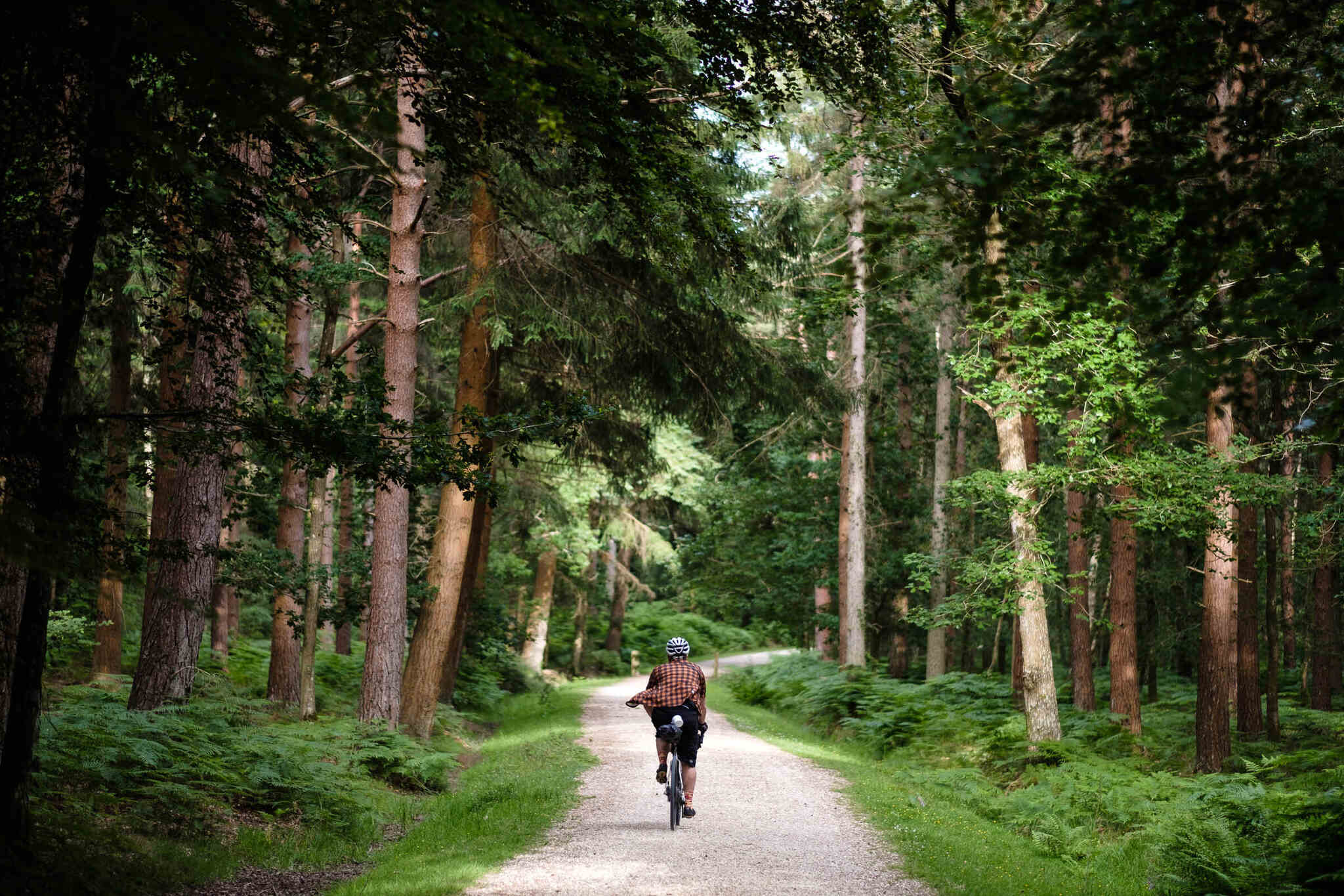 Bike New Forest