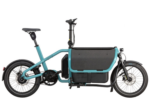 Riese & Müller Carrie Vario Electric Bike 