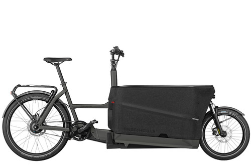 Riese & Müller Packster 70 Vario Electric Bike 