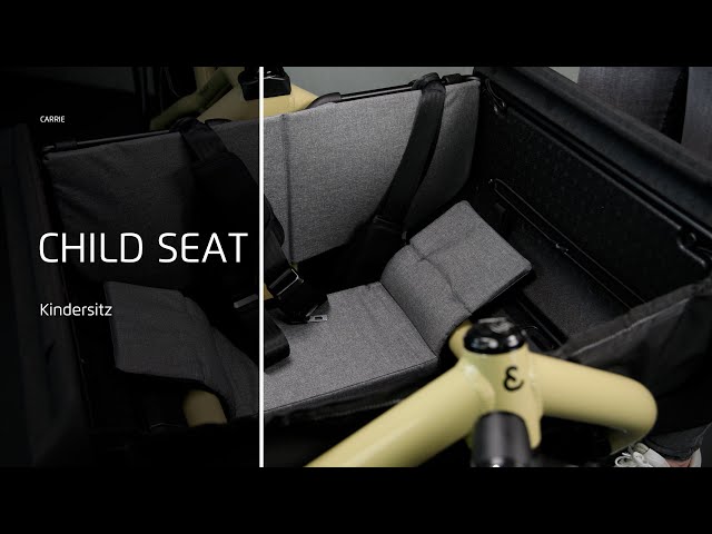 Riese & Müller Carrie: child seats
