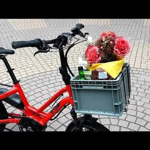 Tern Hauler Rack Electric Bike 