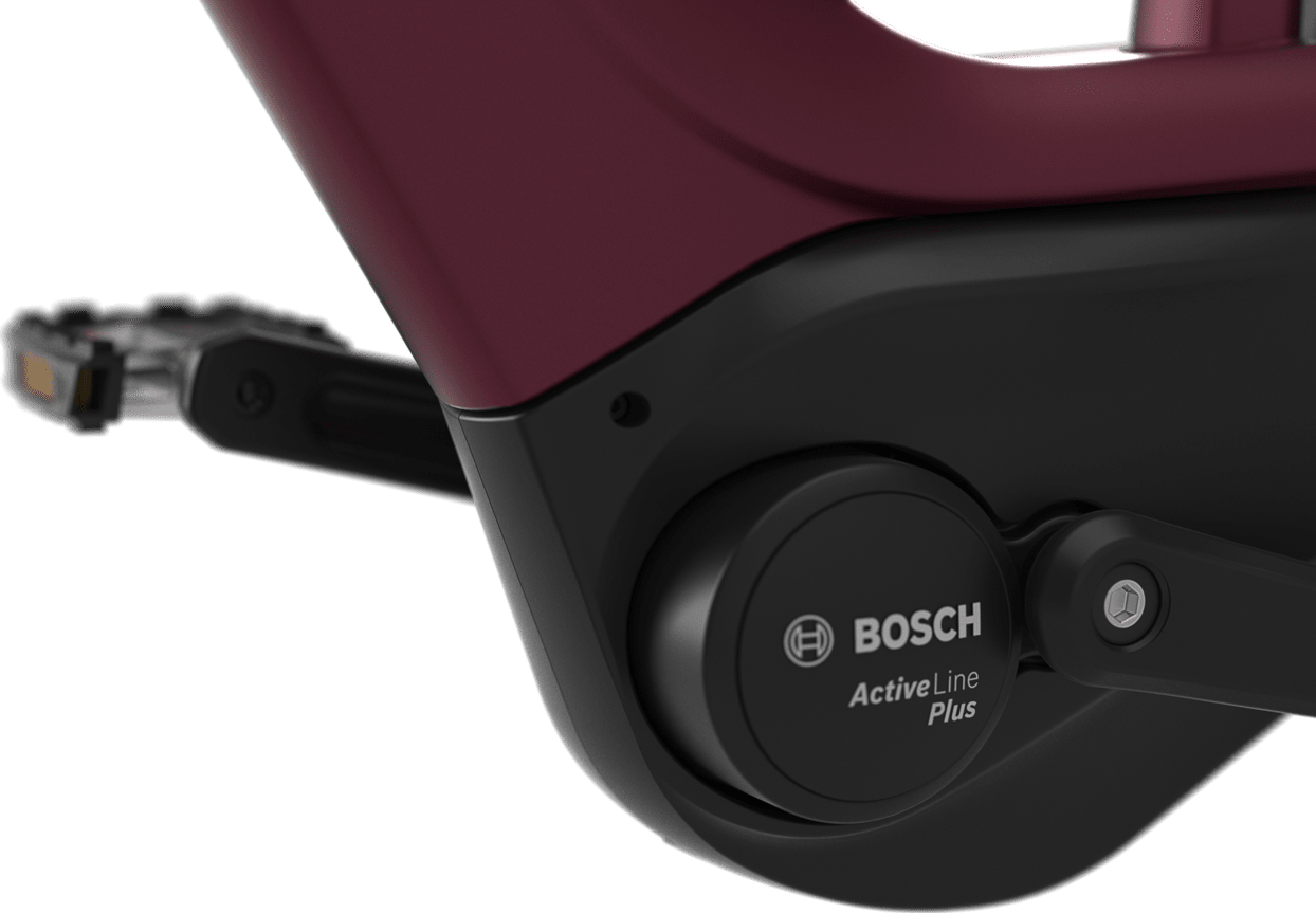 Bosch Active Line Motor 